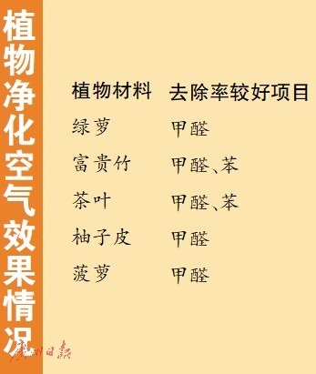 半数指甲油含内分泌干扰物，YSL等大牌上黑榜