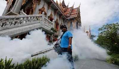 十一出行一定要注意的事：泰国登革热疫情爆发！