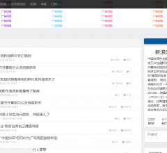 站群新网网