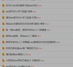 seo教程论坛官网