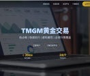 TMGM-MT5平台