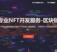 NFT技术开发公司