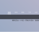Soiiw导航