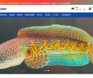 阿正水族馆