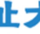 全球网
