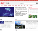 金羊网