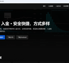 TMGM入金