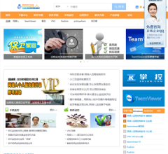 远远控网