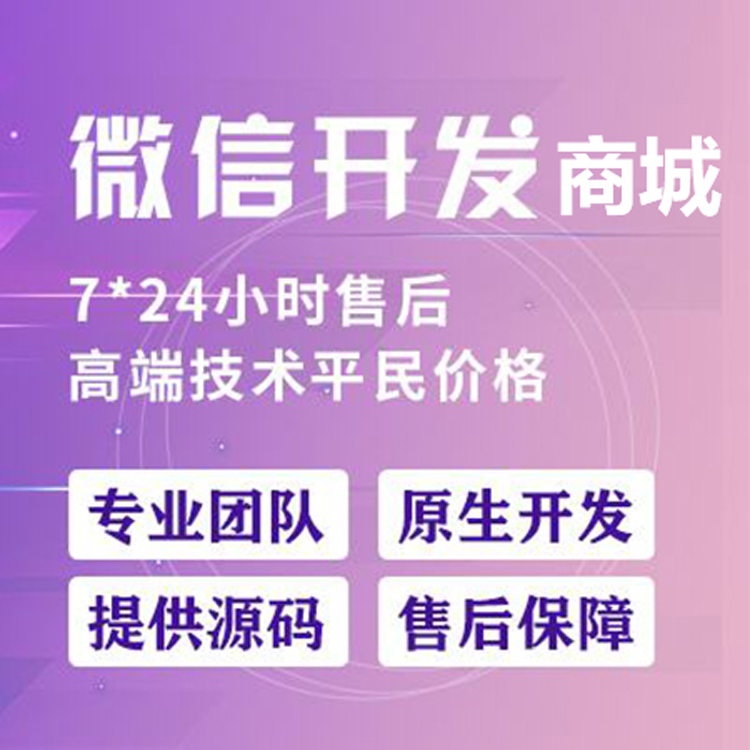 分销商城系统，小程序商城开发，全渠道搭建线上商店，业绩提升03