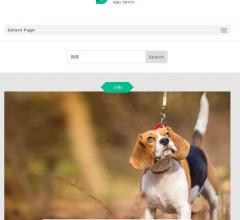 狗保姆博客 | 提供丰富专业的养狗养猫狗