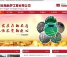 泰州东驰地坪工程公司