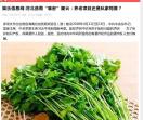 51寻爱网