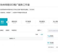 西安秋林SEO网络推广