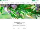 龙仔土特产批发网