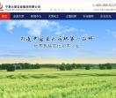 宁夏大荣实业集团