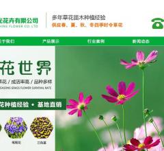 花卉公司网站