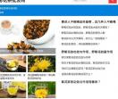 菊花茶批发