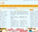 苟安电子小说