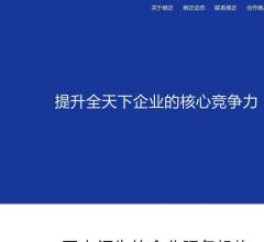 维正知识产权
