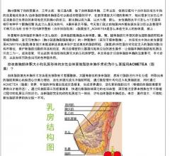 自体脂肪填充