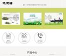 忆荷塘