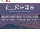 企业网站设计开发