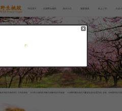 三湖桃胶官方网站