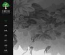 南宁网站设计