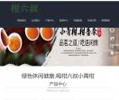 小青柑