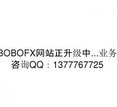 BOBOFX外汇网